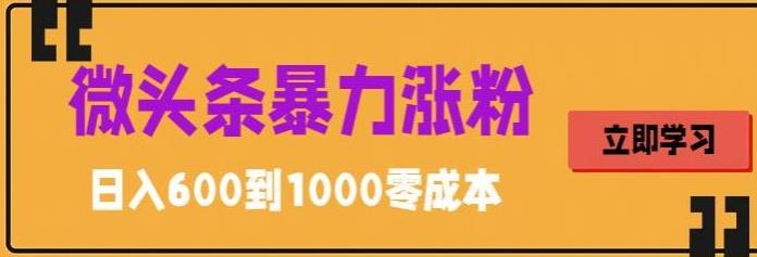 （5616期）微头条涨粉技巧搬运文案就能涨几万粉丝，简单0成本，日赚600-卓越网创