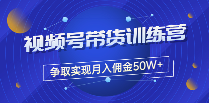 （2961期）《视频号带货训练营》争取实现月入佣金50W+-卓越网创