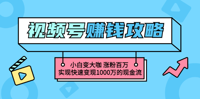 （2748期）视频号赚钱：小白变大咖 涨粉百万 实现快速变现1000万的现金流-卓越网创