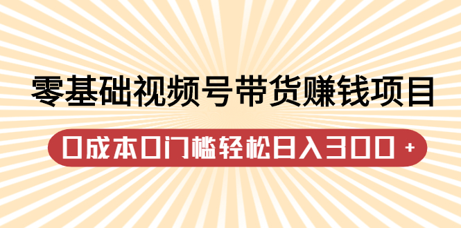 （2151期）零基础视频号带货赚钱项目，0成本0门槛轻松收益【视频教程】-卓越网创