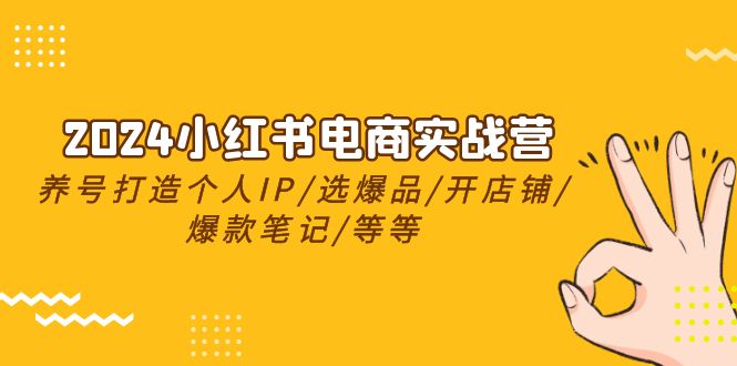 （9695期）小红书电商实战营，养号打造IP/选爆品/开店铺/爆款笔记/等等（24节）-卓越网创