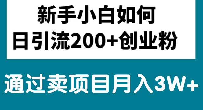 （10195期）新手小白日引流创业粉,通过卖项目月入3W+-卓越网创