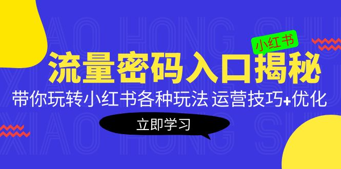 （10262期）小红书流量密码入口揭秘：带你玩转小红书各种玩法 运营技巧+优化-卓越网创