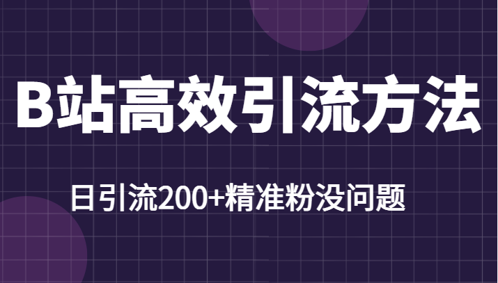 （10393期）B站高效引流方法，学会这一招，日引流精准粉没任何问题-卓越网创