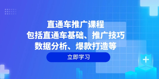 （14001期）直通车推广课程：包括直通车基础、推广技巧、数据分析、爆款打造等-卓越网创